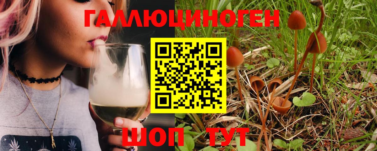 Галлюциногенные грибы Magic Shrooms Аксай